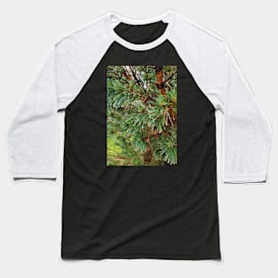 Raindrops on Spruce Needles Baseball T-Shirt